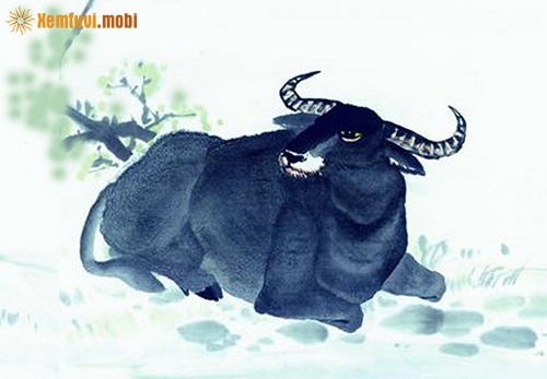 Phân tích tử vi năm 2024 người bản mệnh Sửu chi tiết 12 tháng