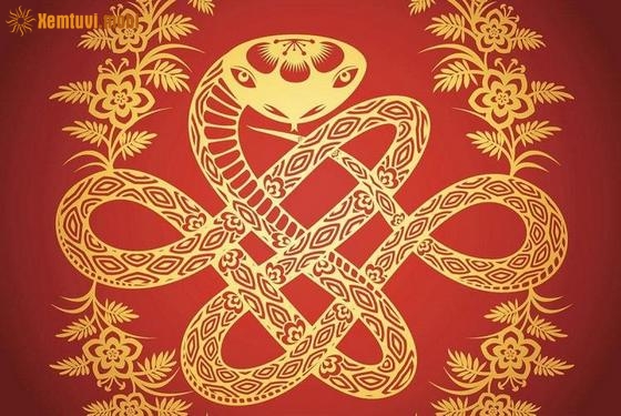 Xem tử vi 2024 cho người tuổi con rắn chi tiết Xem tử vi 2024 cho người tuổi con rắn chi tiết