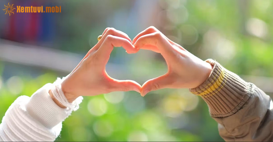  Xem bói 12 con giáp ngày 10.12.2023 chủ nhật