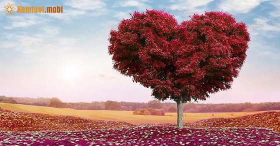  Xem bói 12 con giáp ngày 12.12.2023 thứ 3