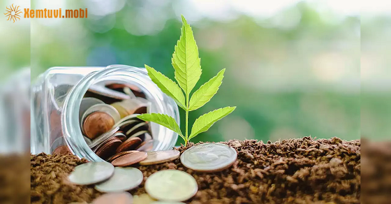 Thứ sáu của 12 con giáp ngày 15/12/2023 Thứ sáu của 12 con giáp ngày 15/12/2023