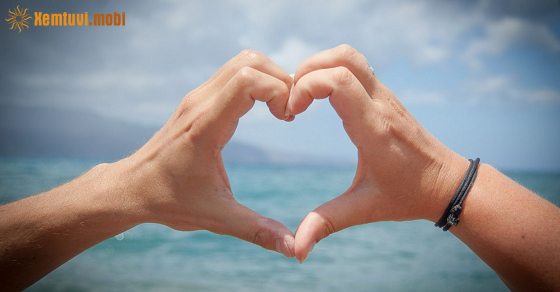 Xem bói 12 con giáp ngày 30.12.2023 thứ bảy Xem bói 12 con giáp ngày 30.12.2023 thứ bảy