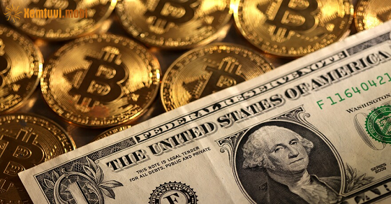 Thứ tư của 12 con giáp ngày 17/1/2024 Thứ tư của 12 con giáp ngày 17/1/2024