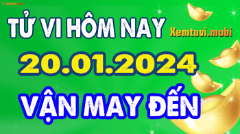 Tử vi ngày 20/1/2024 của 12 con giáp thứ 7: Thìn cực đỏ, Mão được tiền