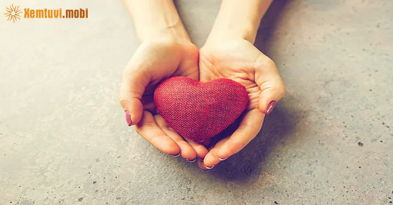 Xem bói 12 con giáp ngày 18.2.2024 chủ nhật Xem bói 12 con giáp ngày 18.2.2024 chủ nhật