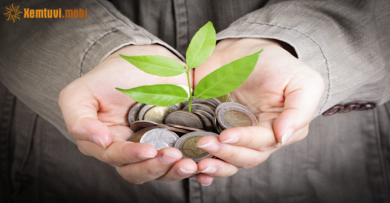 Chủ nhật của 12 con giáp ngày 3/3/2024 Chủ nhật của 12 con giáp ngày 3/3/2024