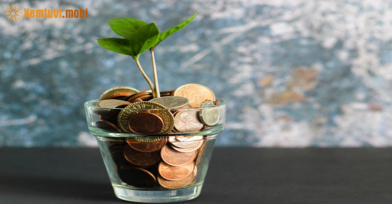 Thứ hai của 12 con giáp ngày 4/3/2024 Thứ hai của 12 con giáp ngày 4/3/2024