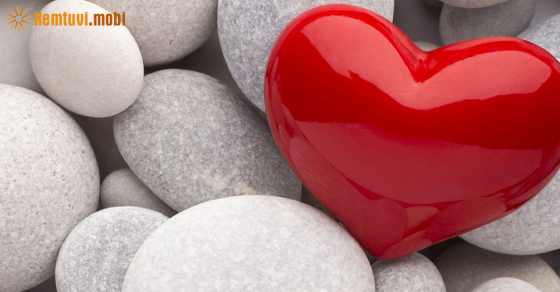 Xem bói của 12 con giáp từ ngày 19/2 đến 25/2/2024 Xem bói của 12 con giáp từ ngày 19/2 đến 25/2/2024