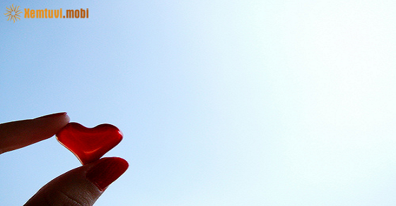 Xem bói 12 con giáp ngày 19.3.2024 thứ 3 Xem bói 12 con giáp ngày 19.3.2024 thứ 3