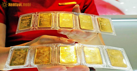 Xem bói tháng 6/2024 của 12 con giáp