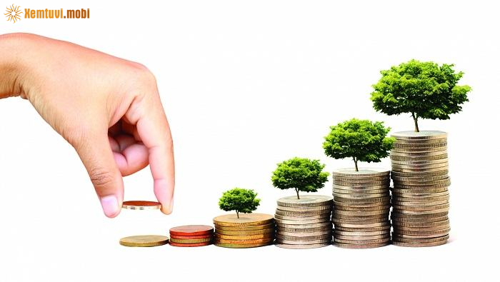 Xem tử vi 12 con giáp ngày 14/6/2025 thứ 7