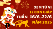 Tử vi tuần mới từ 16/6 - 22/6/2025 của 12 con giáp