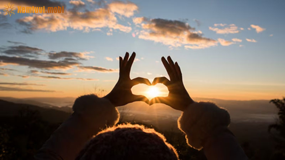  Xem bói của 12 con giáp từ ngày 16/6 đến 22/6/2025