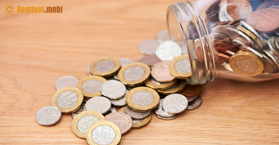 Thứ 5 của 12 con giáp ngày 19/6/2025 Thứ 5 của 12 con giáp ngày 19/6/2025