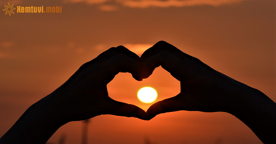 Xem bói 12 con giáp ngày 29/6/2025 chủ nhật Xem bói 12 con giáp ngày 29/6/2025 chủ nhật