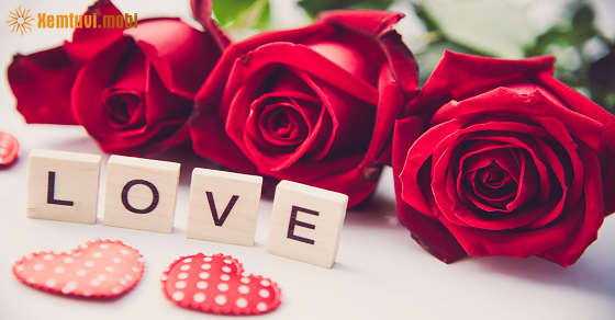 Xem bói tử vi 12 con giáp ngày 12/7/2025 thứ 7 Xem bói tử vi 12 con giáp ngày 12/7/2025 thứ 7