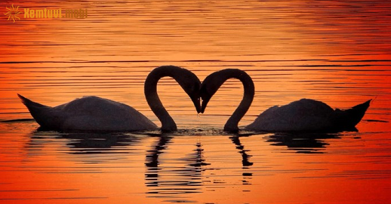 Tử vi thứ 4 của bạn ngày 9/7/2025