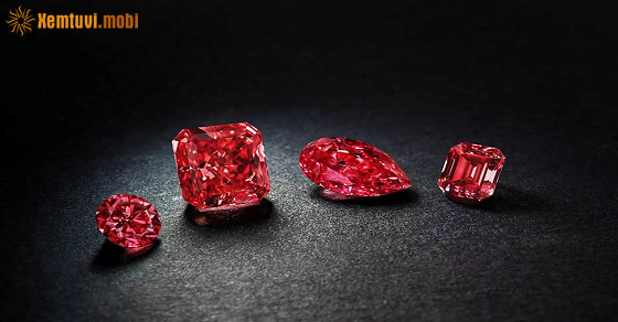 Tử vi 12 con giáp ngày hôm nay 31/8/2025 Tử vi 12 con giáp ngày hôm nay 31/8/2025