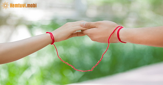 Coi bói tử vi 12 con giáp từ ngày 1/9 đến 7/9/2025 Coi bói tử vi 12 con giáp từ ngày 1/9 đến 7/9/2025