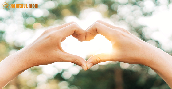  Tử vi 12 con giáp của ngày 15 tháng 9 năm 2025