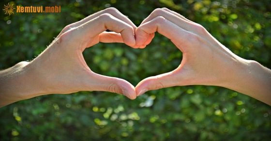  Coi tử vi 12 con giáp của ngày 16 tháng 9 năm 2025