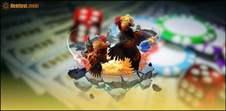 Tổng quan về gà chọi Bình Định