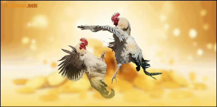 Luật và quy định đá gà tại nhà cái GA888