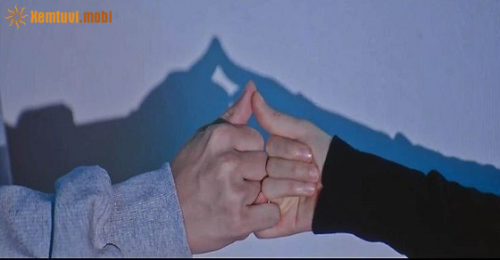 Xem bói tử vi 12 con giáp ngày 20/9/2025 thứ 7 Xem bói tử vi 12 con giáp ngày 20/9/2025 thứ 7