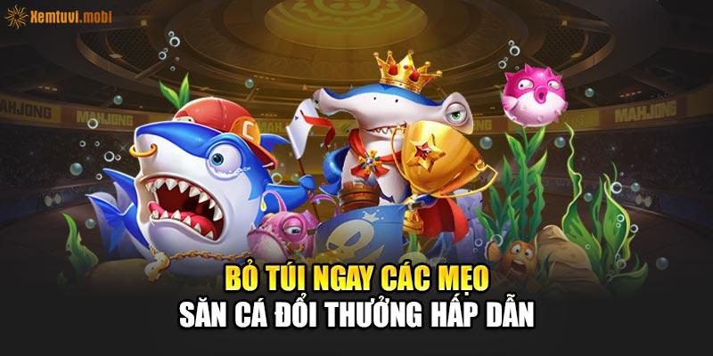 Bỏ túi ngay các mẹo săn cá đổi thưởng hấp dẫn Bỏ túi ngay các mẹo săn cá đổi thưởng hấp dẫn