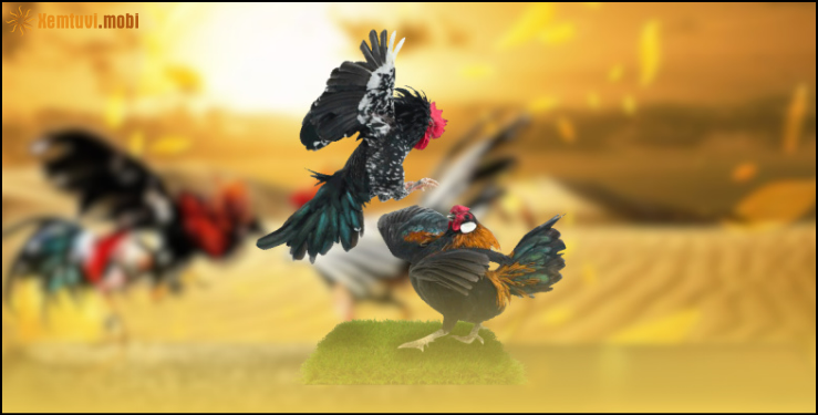 Tổng quan dịch vụ đá gà trực tuyến SV388