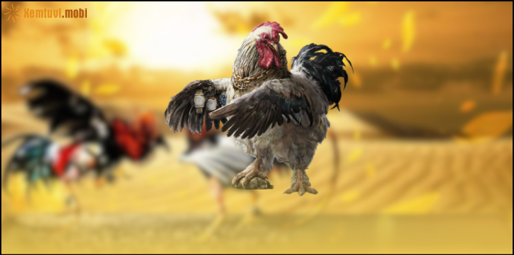 Dịch vụ đá gà cựa dao hấp dẫn tại hệ thống