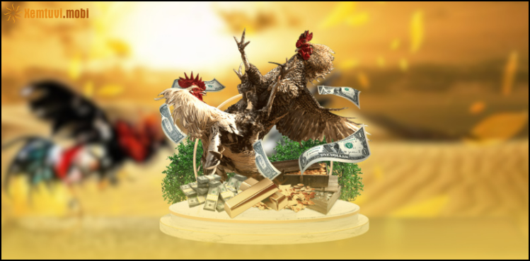 Bí quyết đặt cược đá gà trực tuyến SV388 thắng lớn