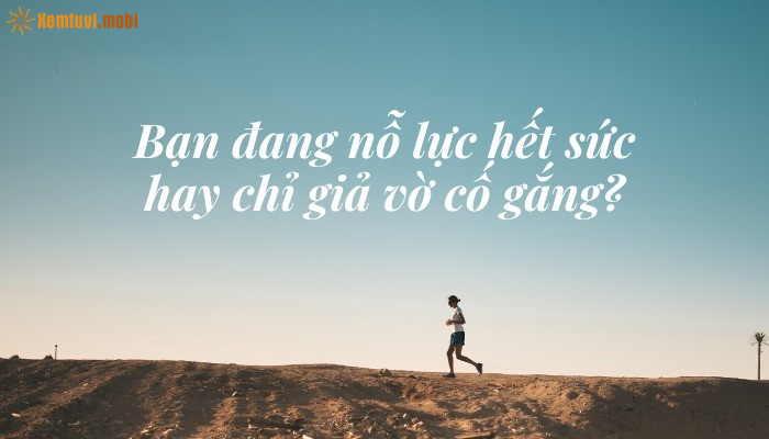 Sự kết hợp giữa may mắn và nỗ lực trong thành công Sự kết hợp giữa may mắn và nỗ lực trong thành công