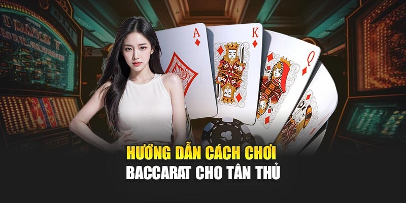 Hướng dẫn cách chơi Baccarat cho tân thủ