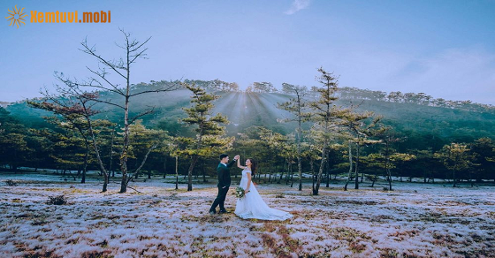 Tử vi hàng ngày 12 con giáp tài lộc thứ 5 ngày 2/10/2025 Tử vi hàng ngày 12 con giáp tài lộc thứ 5 ngày 2/10/2025