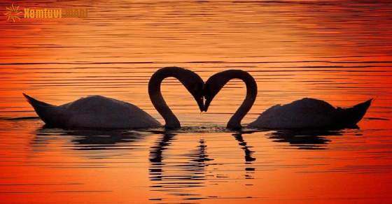 Tử vi thứ 2 của bạn ngày 29/9/2025