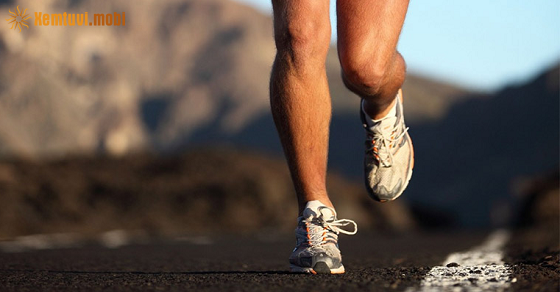 Tử vi ngày 13/10/2025 của 12 cung hoàng đạo