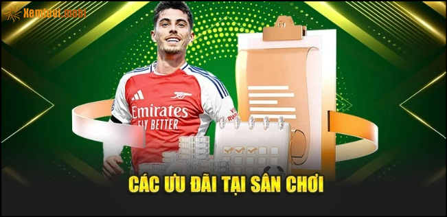 Các ưu đãi tại sân chơi