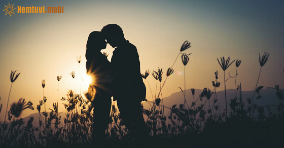 Tử vi 12 cung hoàng đạo tháng 11 năm 2025