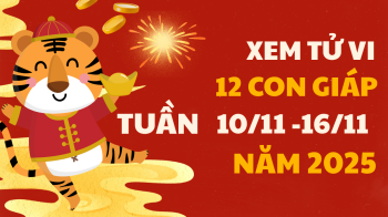 Tử vi 12 con giáp tuần mới từ 10/11 - 16/11/2025 tài lộc