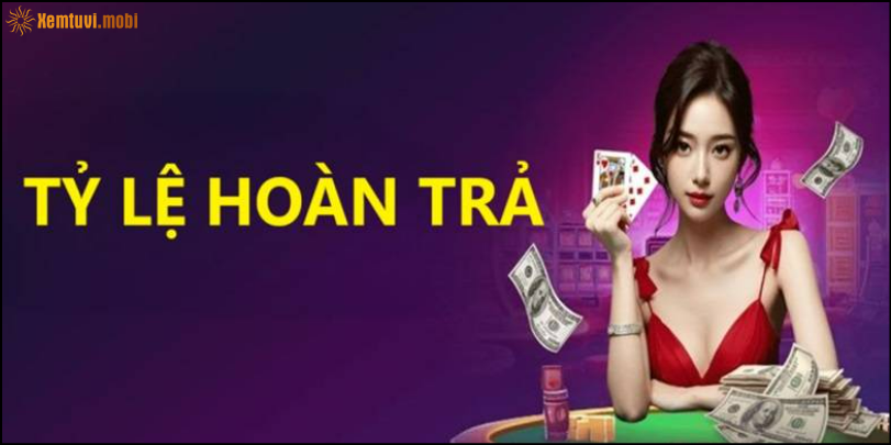 Tỷ lệ hoàn trả MMLIVE hấp dẫn Tỷ lệ hoàn trả MMLIVE hấp dẫn