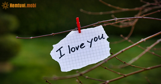 Tử vi tuần mới 12 cung hoàng đạo từ 17/11 đến 23/11/2025