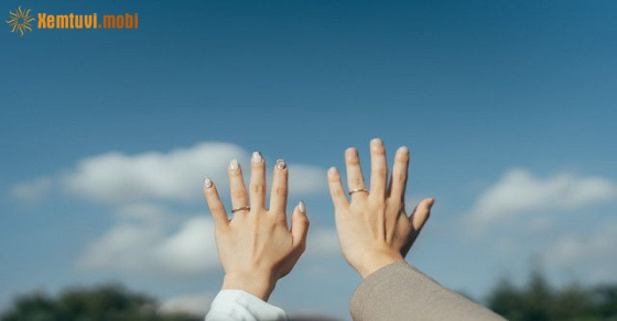 Tử vi 12 con giáp của ngày 23 tháng 11 năm 2025 Tử vi 12 con giáp của ngày 23 tháng 11 năm 2025