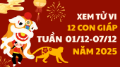Tử vi 12 con giáp tuần mới từ 1/12 - 7/12/2025 tài lộc