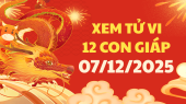 Tử vi của 12 con giáp ngày 7/12/2025 - Coi tử vi 12 con giáp tài lộc