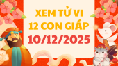 Tử vi của 12 con giáp ngày 10/12/2025 - Xem tử vi 12 con giáp coi tuổi