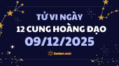 Tử vi 12 cung hoàng đạo thứ 3 ngày 9/12/2025: Nhân Mã lạc quan và sáng tạo