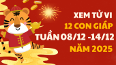 Tử vi 12 con giáp tuần mới từ 8/12 - 14/12/2025 tài lộc