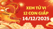 Tử vi của 12 con giáp ngày 14/12/2025 - Coi tử vi 12 con giáp tài lộc