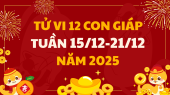 Tử vi 12 con giáp tuần mới từ 15/12 - 21/12/2025 tài lộc